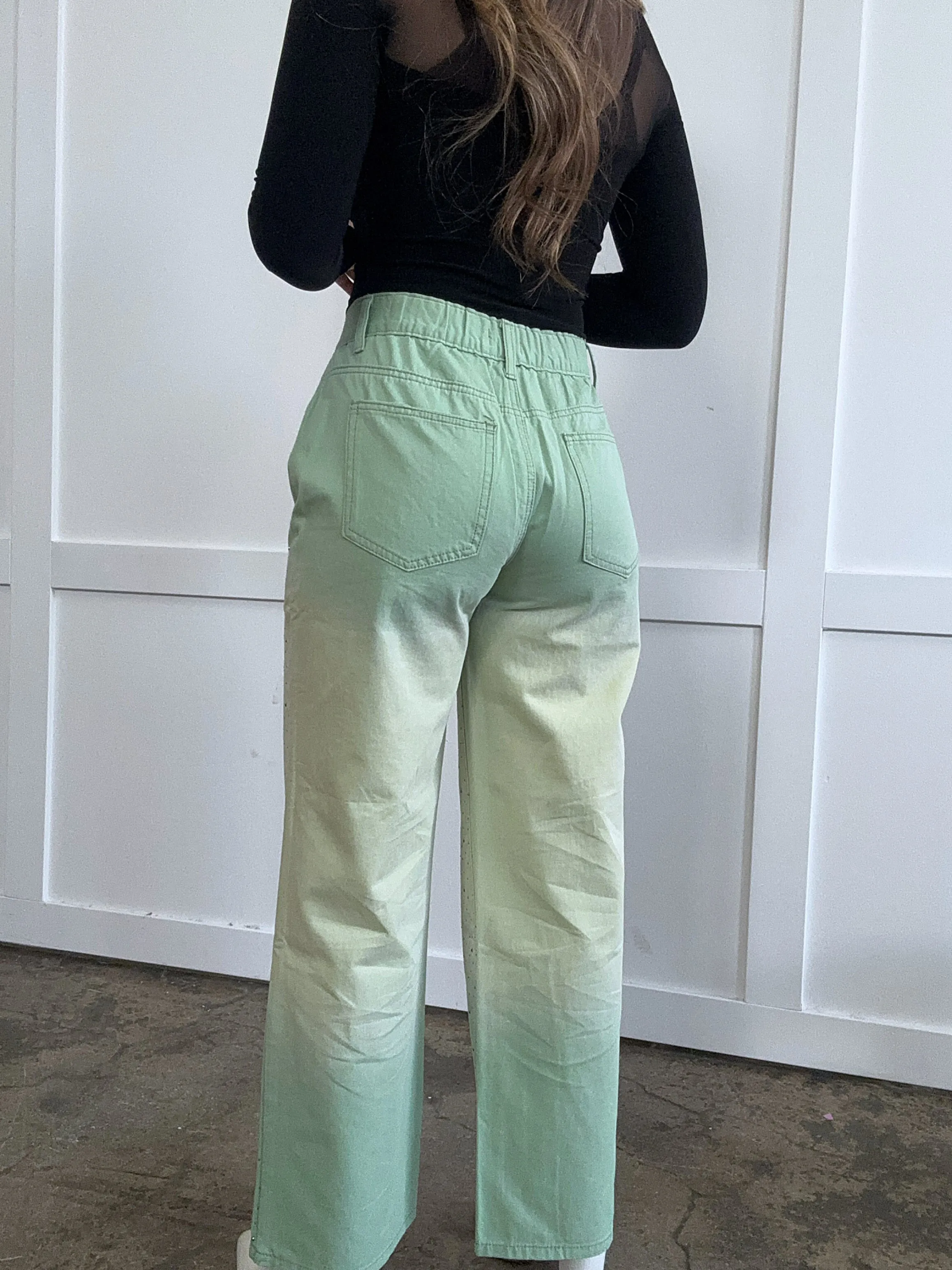 Kinsley Embellished Gradient Wide Leg Pants