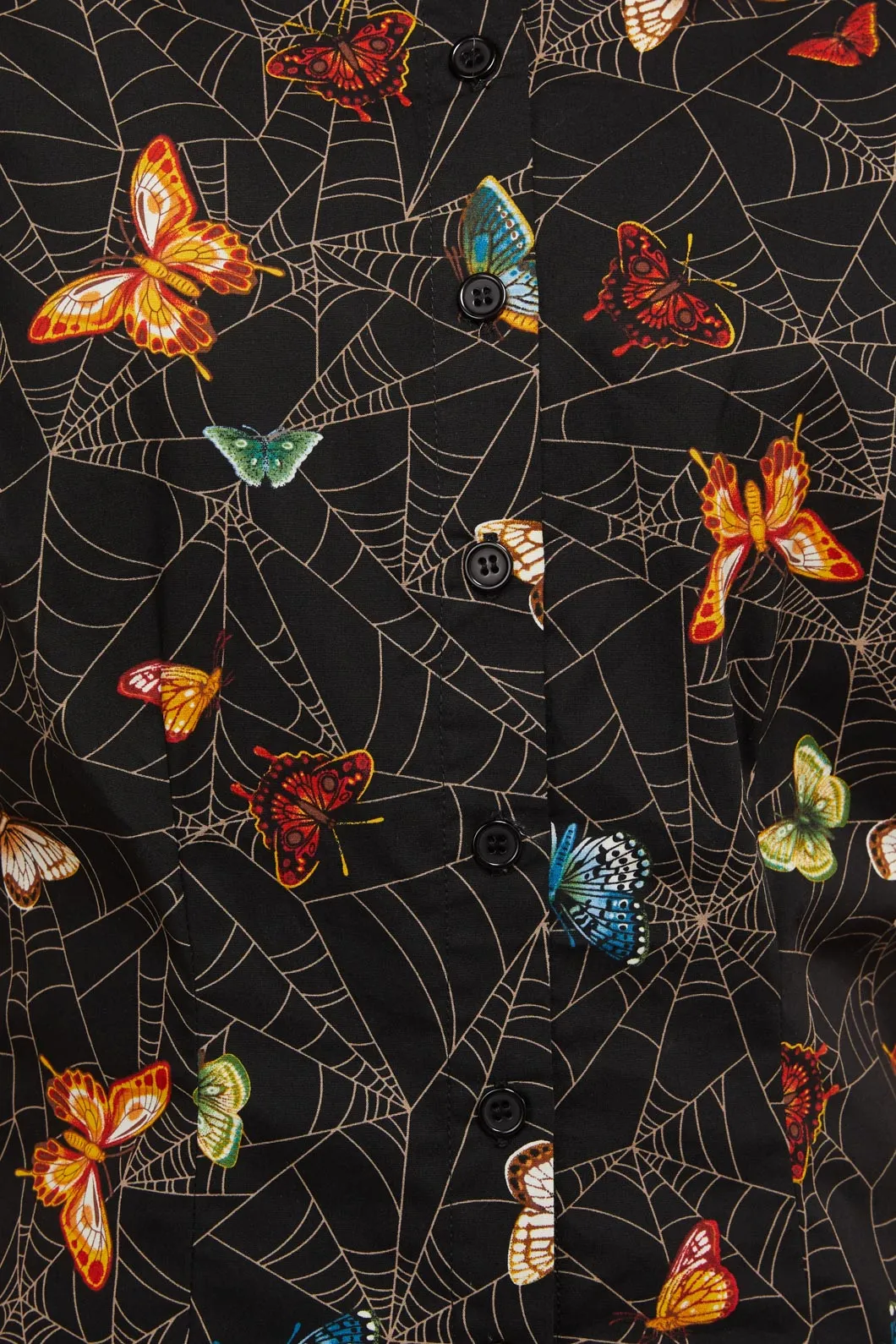 Papillon Fitted Blouse